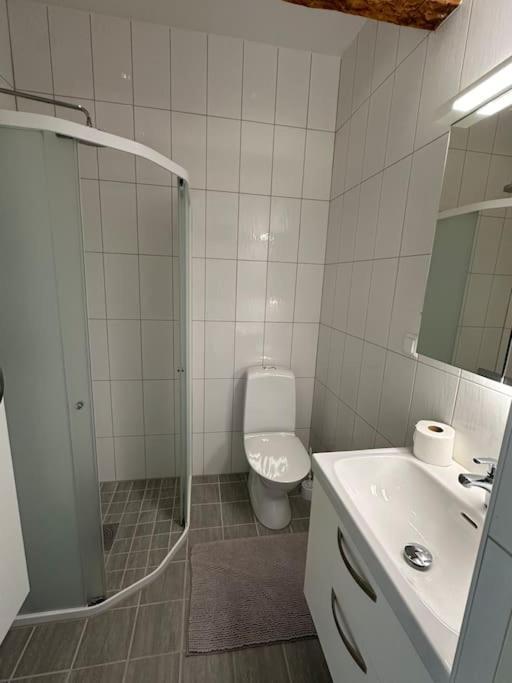 Innerstan Nya Laegenheter Soedramurgatan 45B VBY Exterior foto
