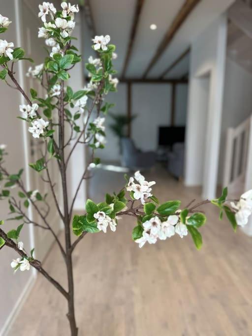 Innerstan Nya Laegenheter Soedramurgatan 45B VBY Exterior foto